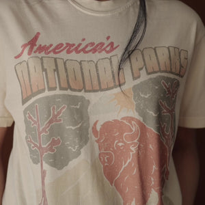 America's National Parks Tee